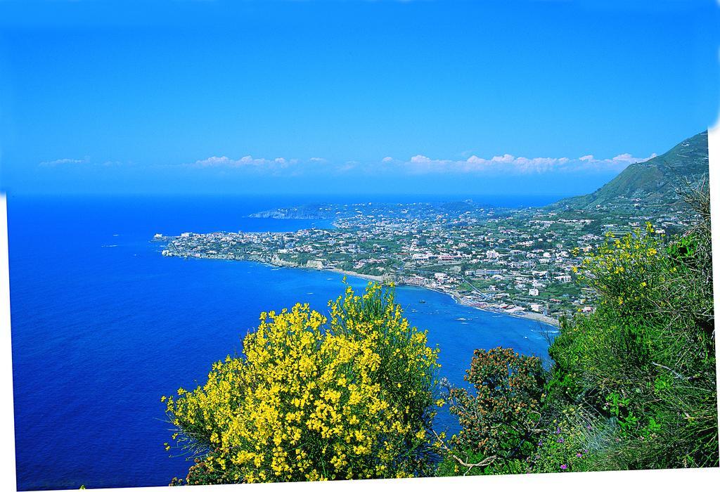 安吉拉别墅酒店及Spa水疗中心 Forio di Ischia 外观 照片